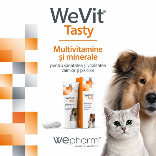 WeVit Tasty – Supliment Nutrițional pentru Câini și Pisici, 100 g – WePharm